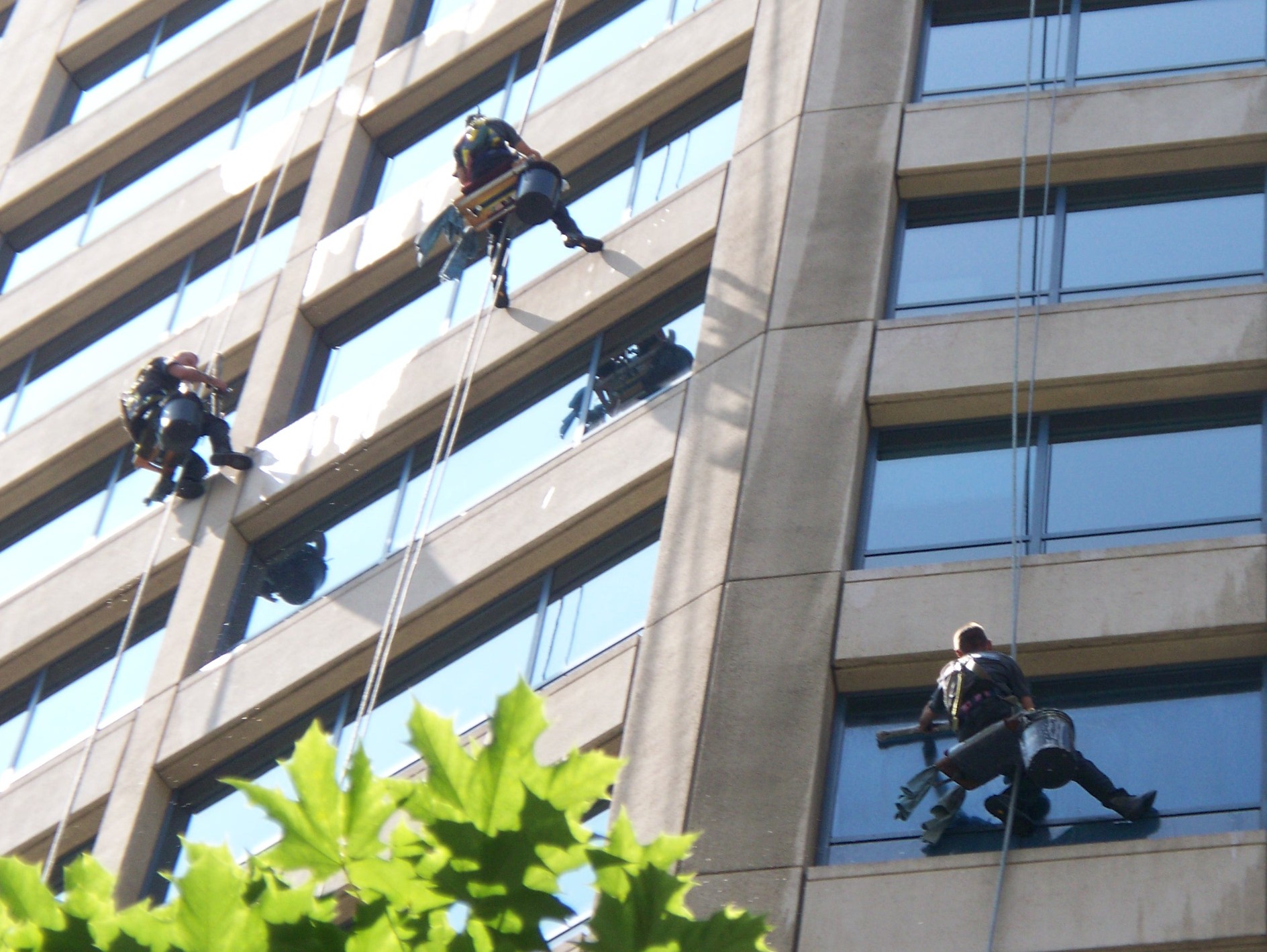 Commercial Glass Cleaning Interior and Exterior